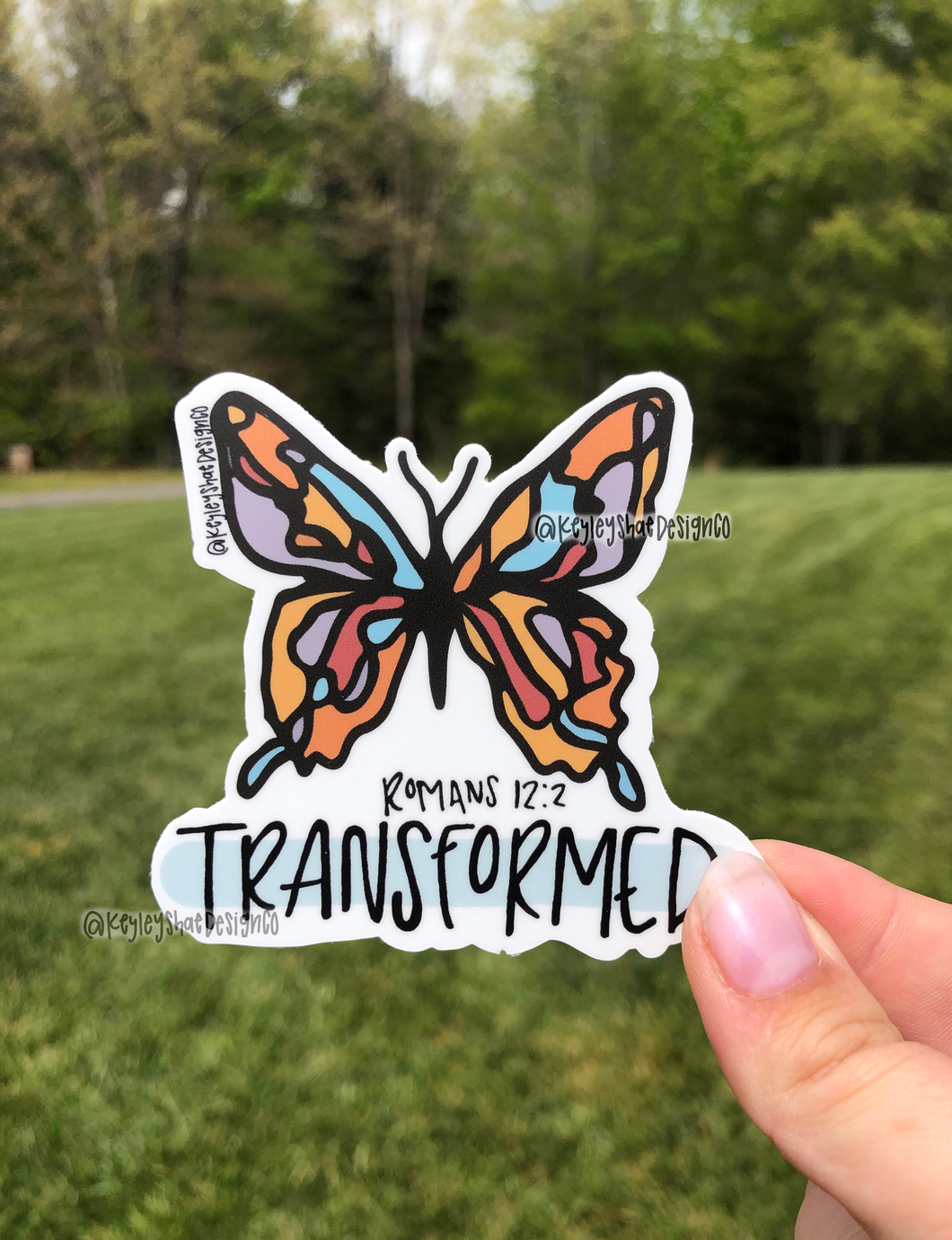Butterfly Transformed Sticker